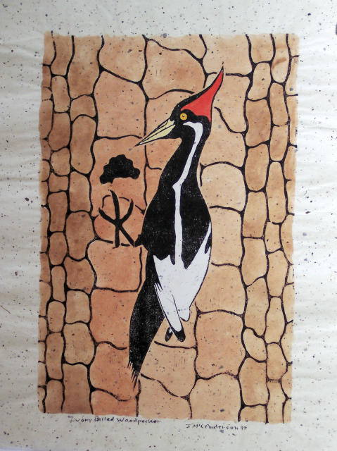 ivory billed woodpecker.jpg