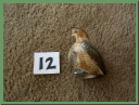 1.12 pheasant.JPG